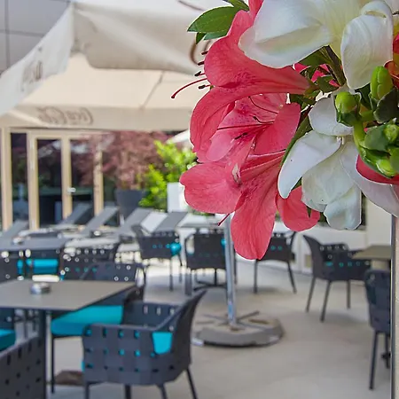 Hotel Ramada Plaza By Wyndham Convention Center